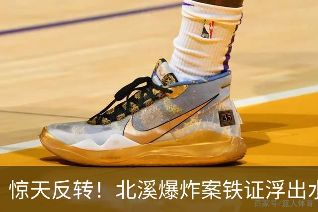 惊天反转！北溪爆炸案铁证浮出水面，德国法庭指控乌克兰涉战争罪